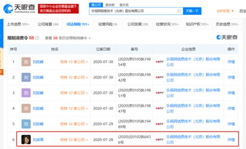乐视网原董事长刘淑青被限制高消费